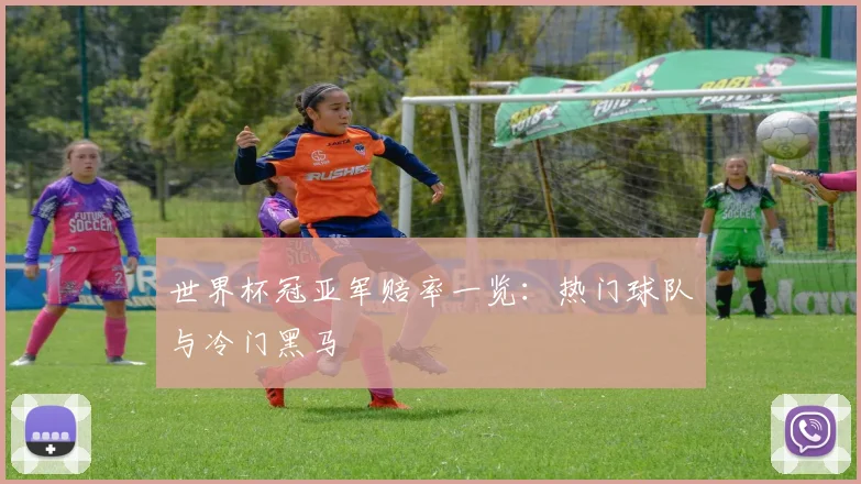 世界杯冠亚军赔率一览：热门球队与冷门黑马