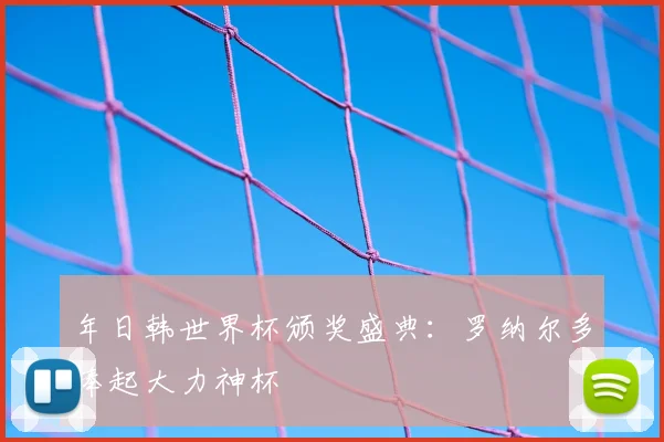 年日韩世界杯颁奖盛典:罗纳尔多捧起大力神杯