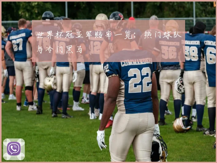 世界杯冠亚军赔率一览：热门球队与冷门黑马