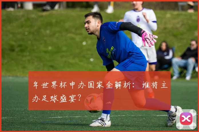 年世界杯申办国家全解析：谁将主办足球盛宴？